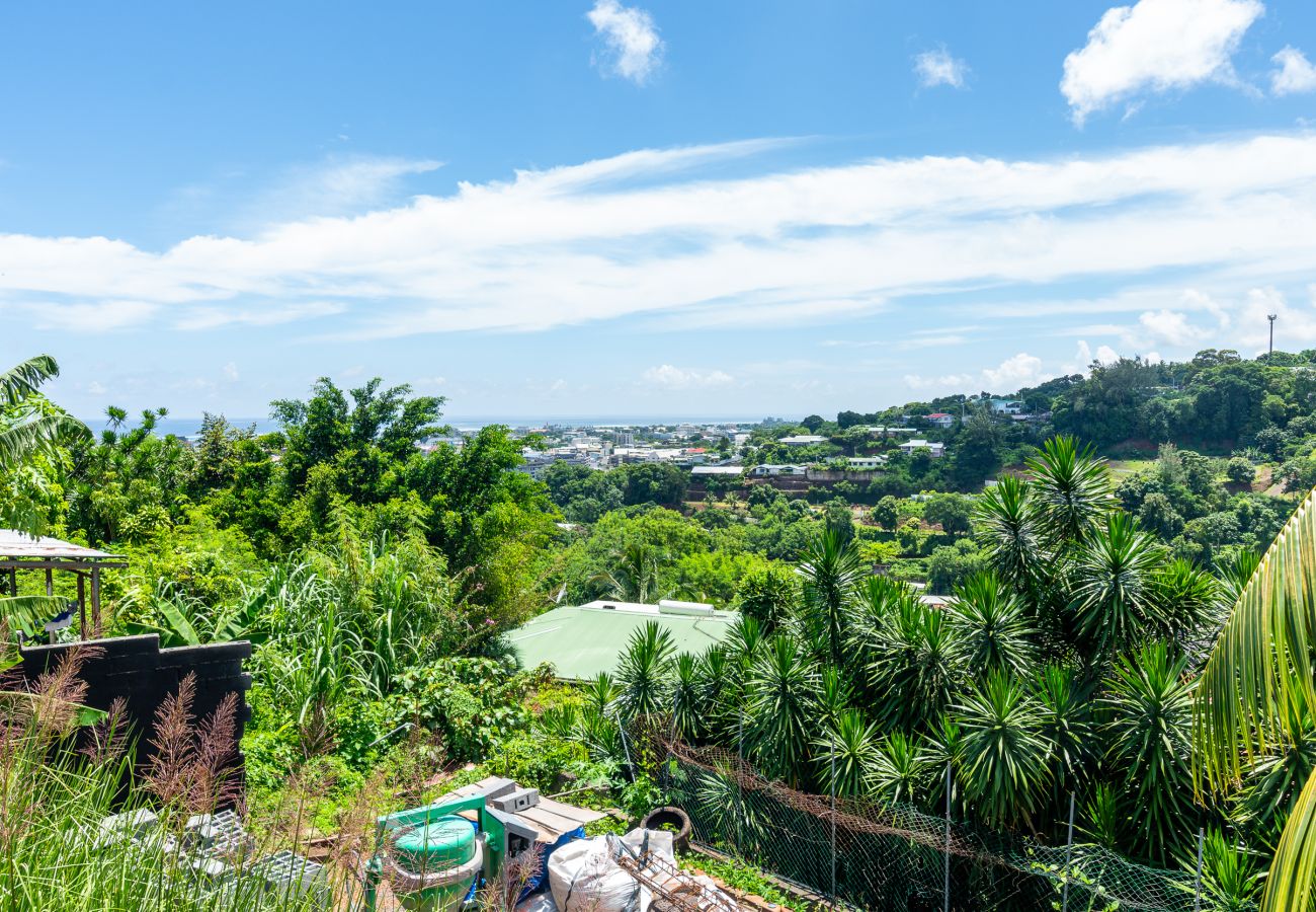 Villa in Papeete - St Ame House Papeete avec Vue et Piscine 